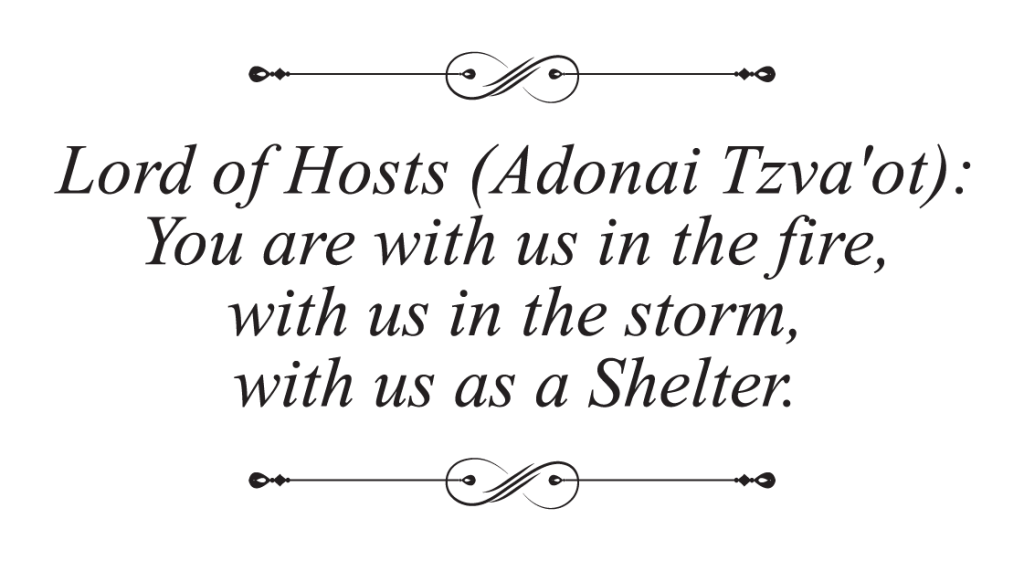 Why Shelter? - Jewish Jewels